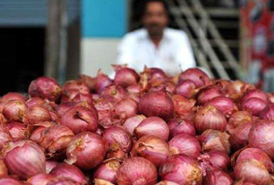 खरीफ की फसल आने पर कम हो जाएंगे प्याज के दाम